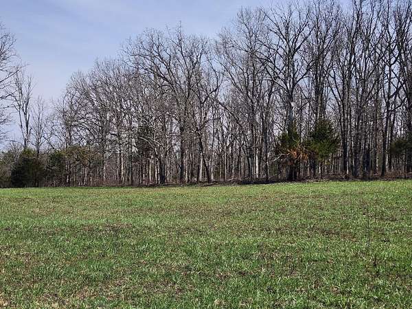 8 Acres of Land for Sale in Huggins, Missouri