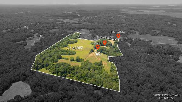 77 Acres of Land for Sale in Ripley, Tennessee