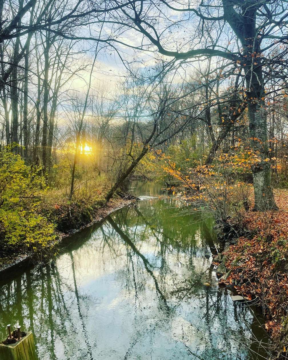 5 Acres of Residential Land for Sale in Three Oaks, Michigan