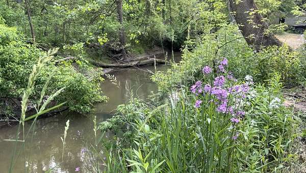 5 Acres of Residential Land for Sale in Three Oaks, Michigan