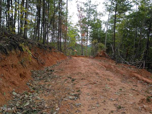 6.24 Acres of Residential Land for Sale in Rogersville, Tennessee