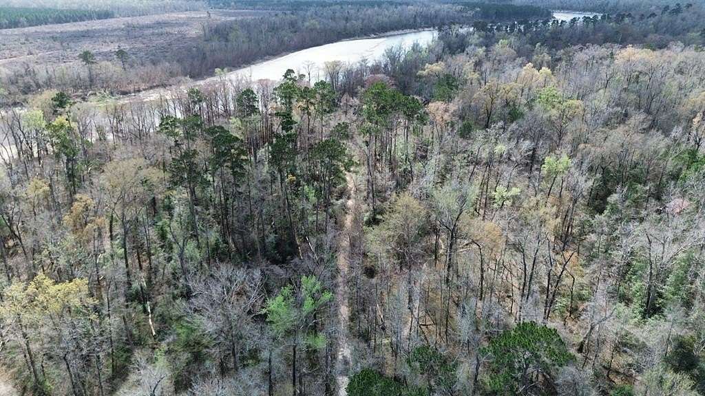 17 Acres of Recreational & Residential Land for Sale in Bon Wier, Texas