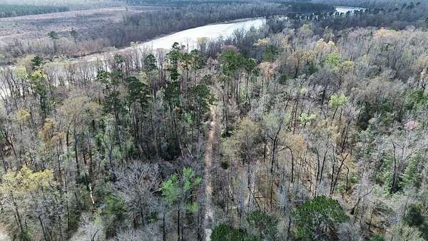 17 Acres of Recreational & Residential Land for Sale in Bon Wier, Texas