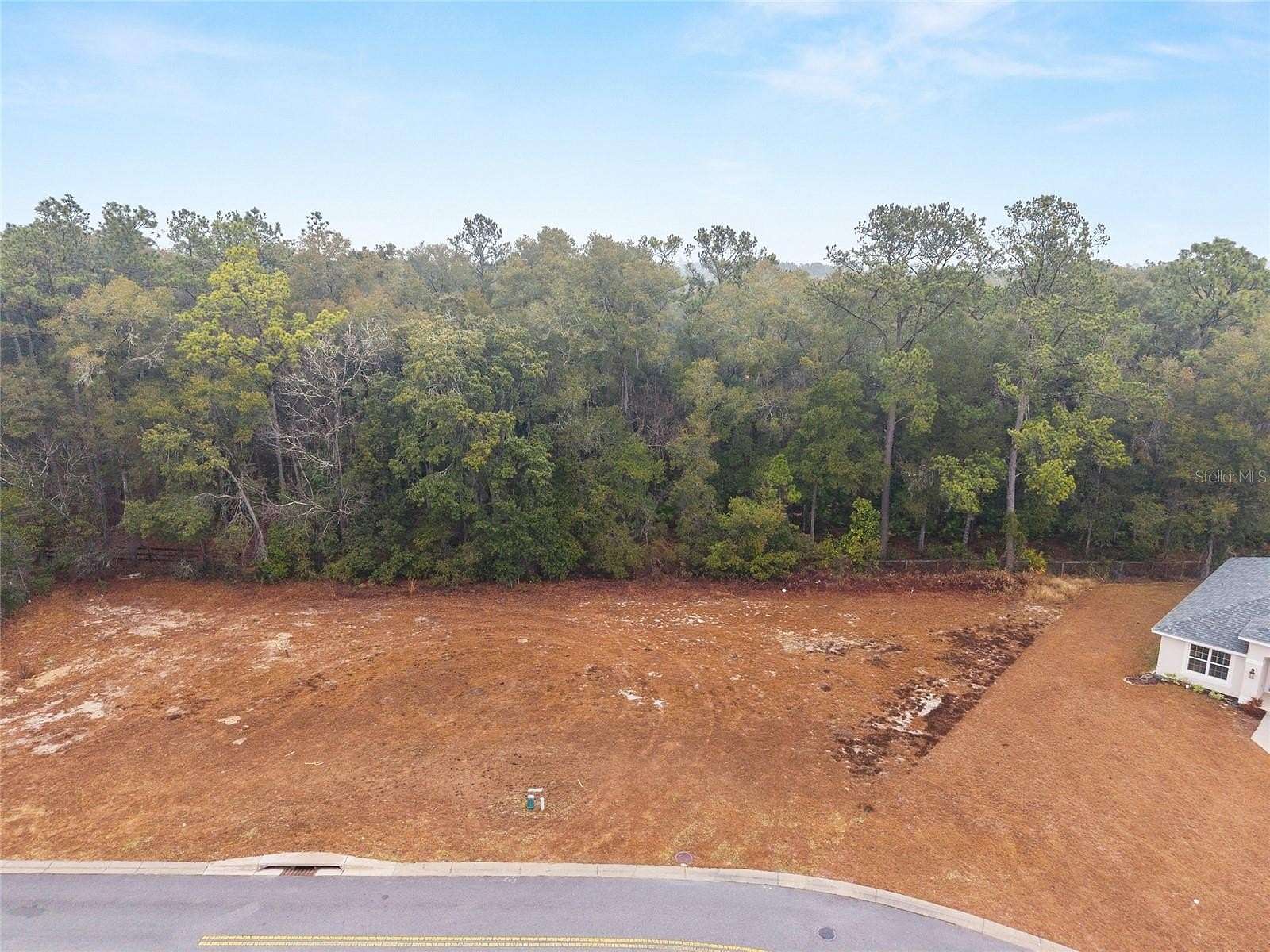 0.23 Acres of Residential Land for Sale in Silver Springs, Florida