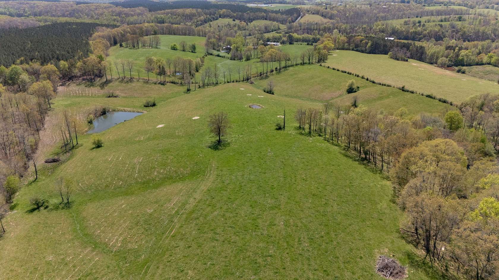 40 Acres of Agricultural & Residential Land for Sale in Collinwood, Tennessee