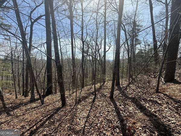 1.5 Acres of Land for Sale in Clayton, Georgia