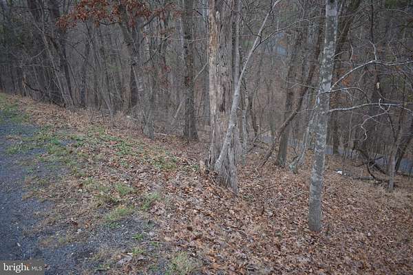 0.42 Acres of Residential Land for Sale in Basye, Virginia