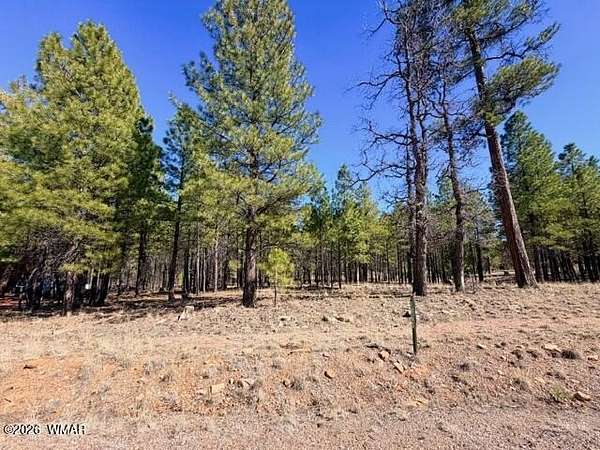 0.9 Acres of Residential Land for Sale in Happy Jack, Arizona
