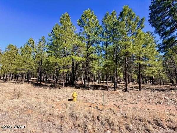 0.87 Acres of Residential Land for Sale in Happy Jack, Arizona