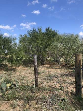 10 Acres of Residential Land for Sale in Pleasanton, Texas