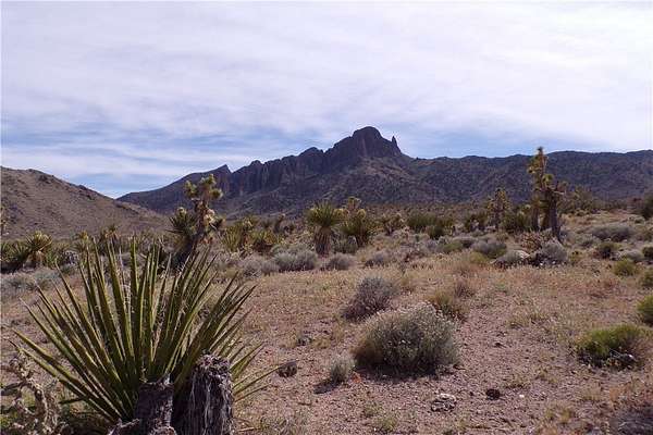1 Acre of Residential Land for Sale in Dolan Springs, Arizona
