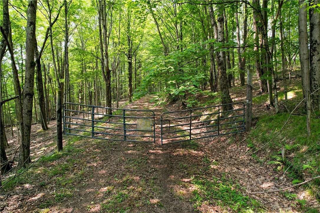 92.3 Acres of Land for Sale in Fleischmanns, New York