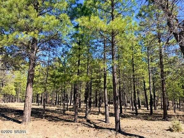 0.84 Acres of Residential Land for Sale in Happy Jack, Arizona