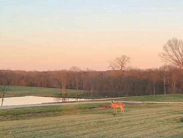 23.7 Acres of Recreational & Residential Land for Sale in Smithville, Missouri