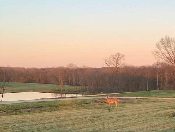 23.7 Acres of Recreational & Residential Land for Sale in Smithville, Missouri