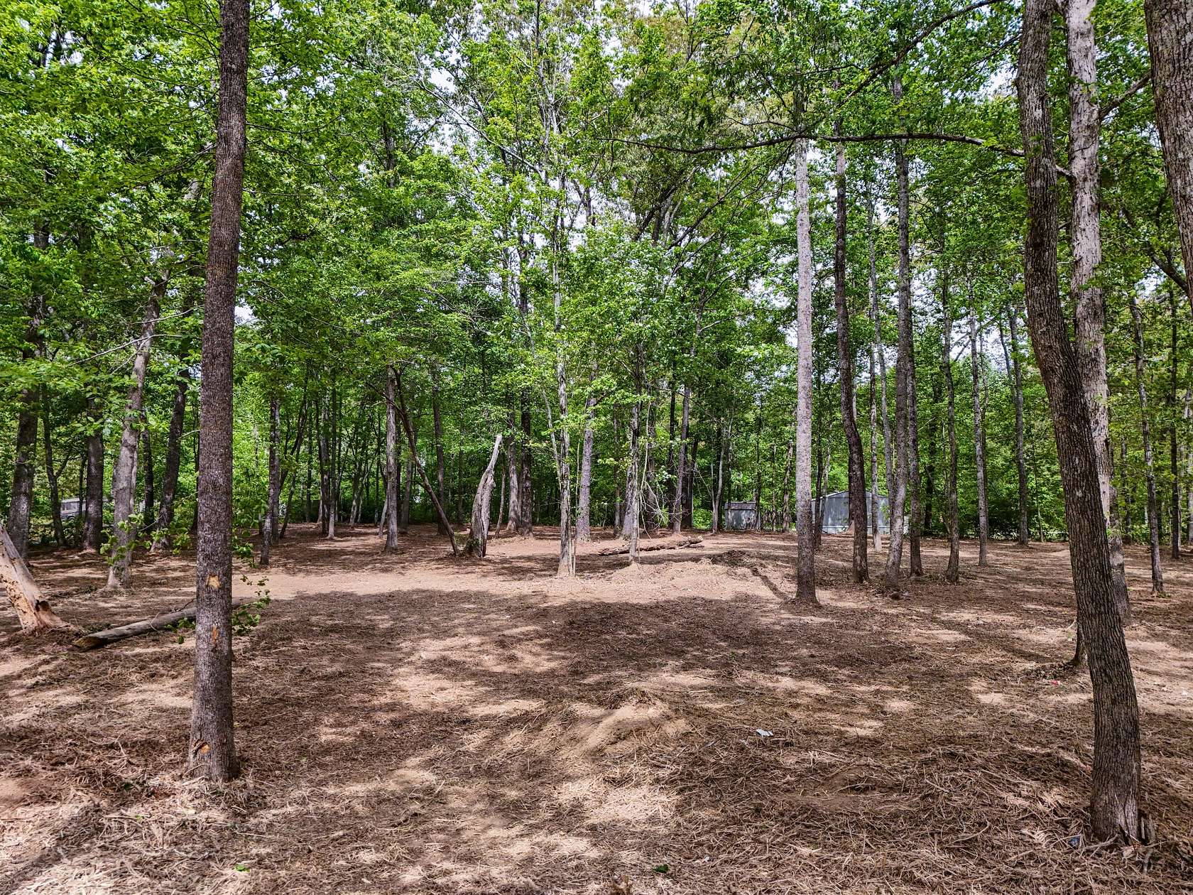 1 Acre of Residential Land for Sale in Beechgrove, Tennessee