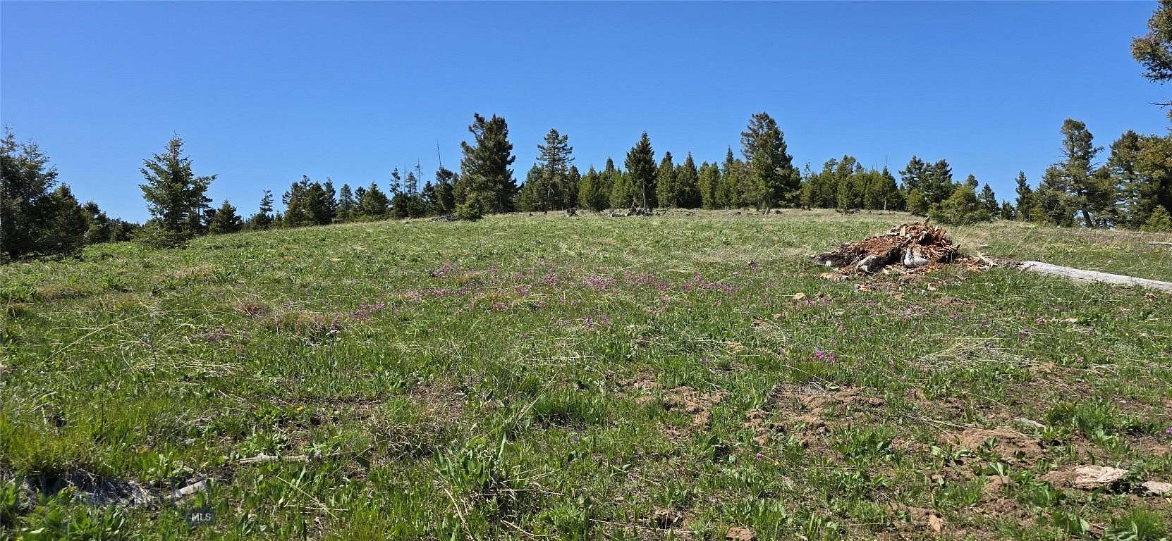 160 Acres of Recreational Land for Sale in Drummond, Montana