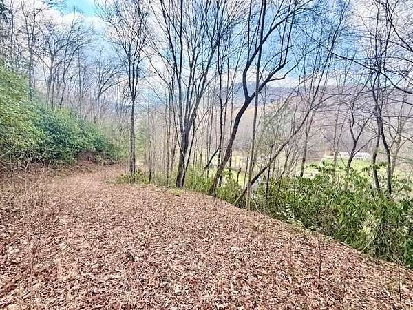 10.7 Acres of Land for Sale in Robbinsville, North Carolina