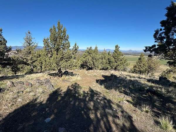 0.6 Acres of Land for Sale in Weed, California