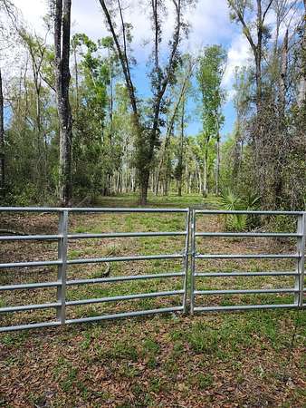 3 Acres of Residential Land for Sale in Old Town, Florida