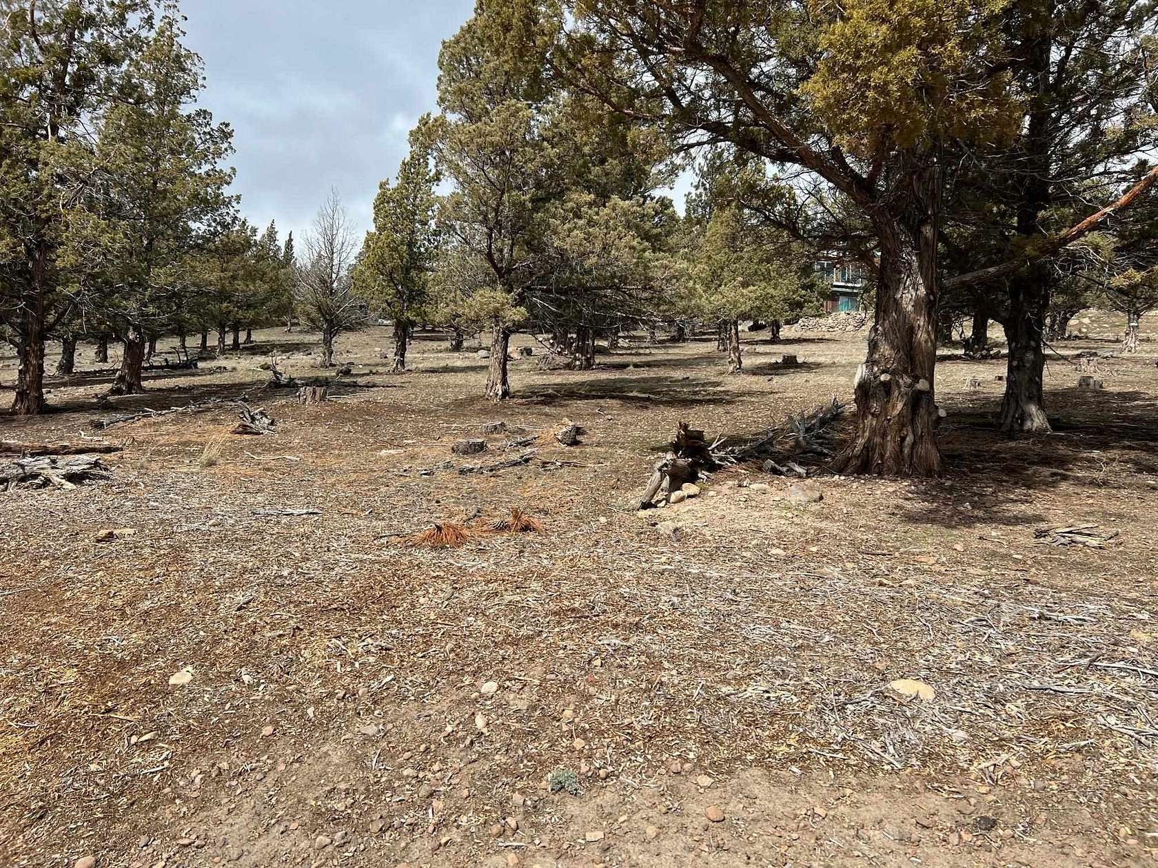 0.34 Acres of Land for Sale in Weed, California