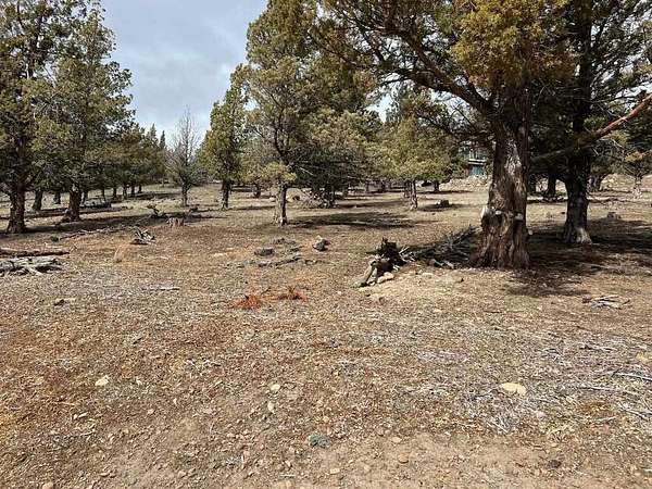 0.34 Acres of Land for Sale in Weed, California