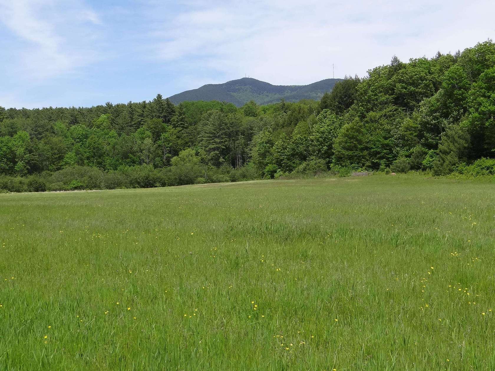 105 Acres of Land for Sale in Weathersfield Town, Vermont