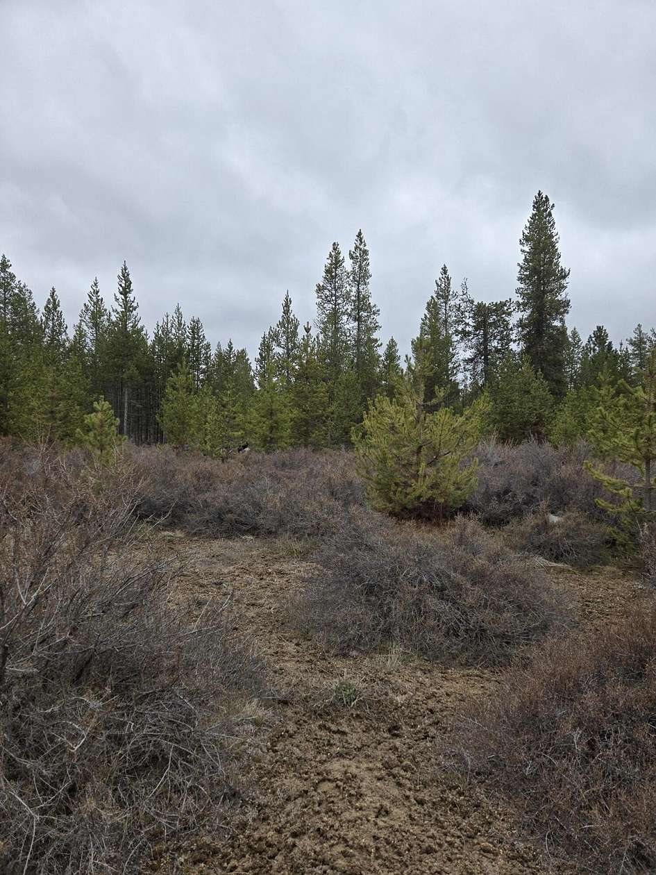1 Acre of Residential Land for Sale in La Pine, Oregon