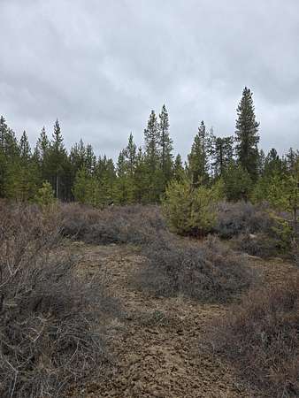 1 Acre of Residential Land for Sale in La Pine, Oregon