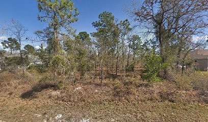 0.5 Acres of Residential Land for Sale in Brooksville, Florida