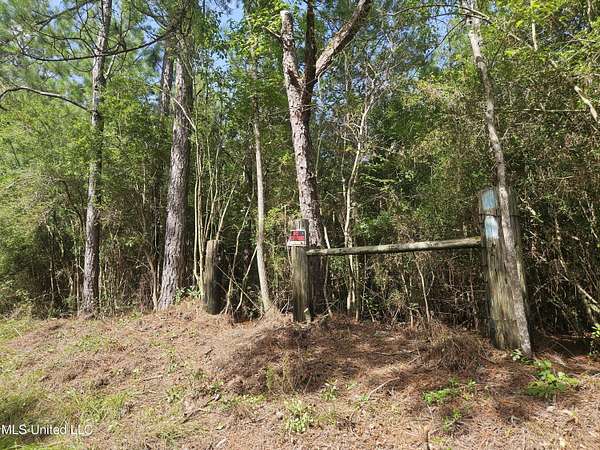 3 Acres of Residential Land for Sale in Perkinston, Mississippi