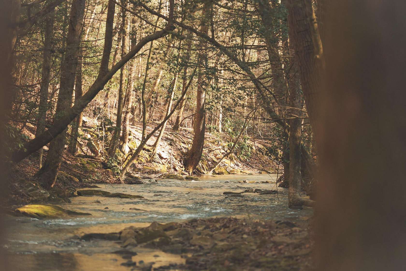 94 Acres of Land with Home for Auction in Soddy-Daisy, Tennessee