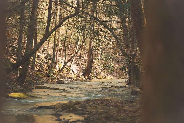 94 Acres of Land with Home for Auction in Soddy-Daisy, Tennessee