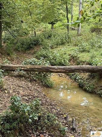 51 Acres of Recreational & Residential Land for Sale in Glasgow, Kentucky