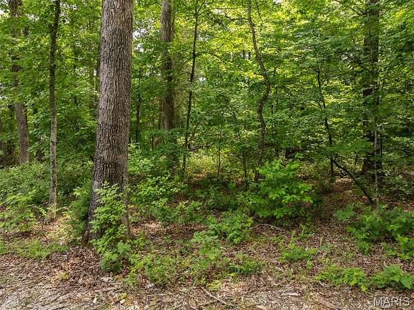 2.29 Acres of Residential Land for Sale in Innsbrook, Missouri