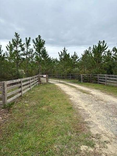 15 Acres of Recreational & Residential Land for Sale in Valdosta, Georgia