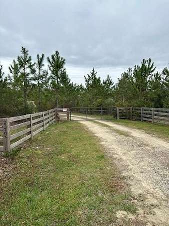 15 Acres of Recreational & Residential Land for Sale in Valdosta, Georgia