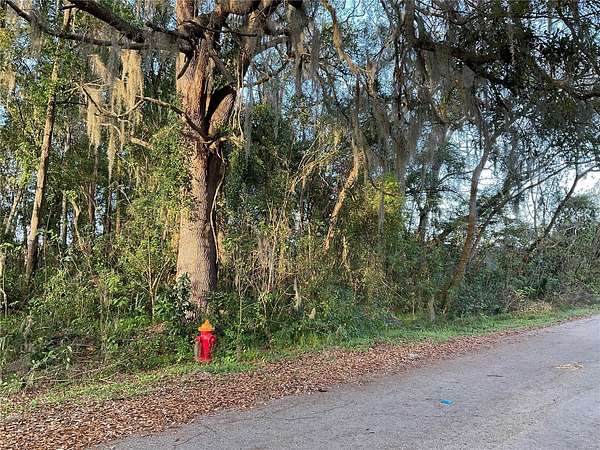 0.24 Acres of Residential Land for Sale in Ocala, Florida