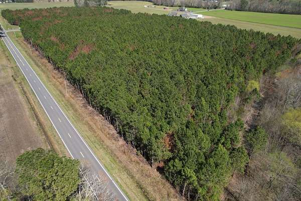 26.8 Acres of Recreational Land for Sale in Clarendon, North Carolina