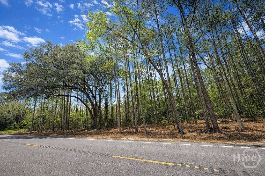 5 Acres of Land for Sale in Richmond Hill, Georgia