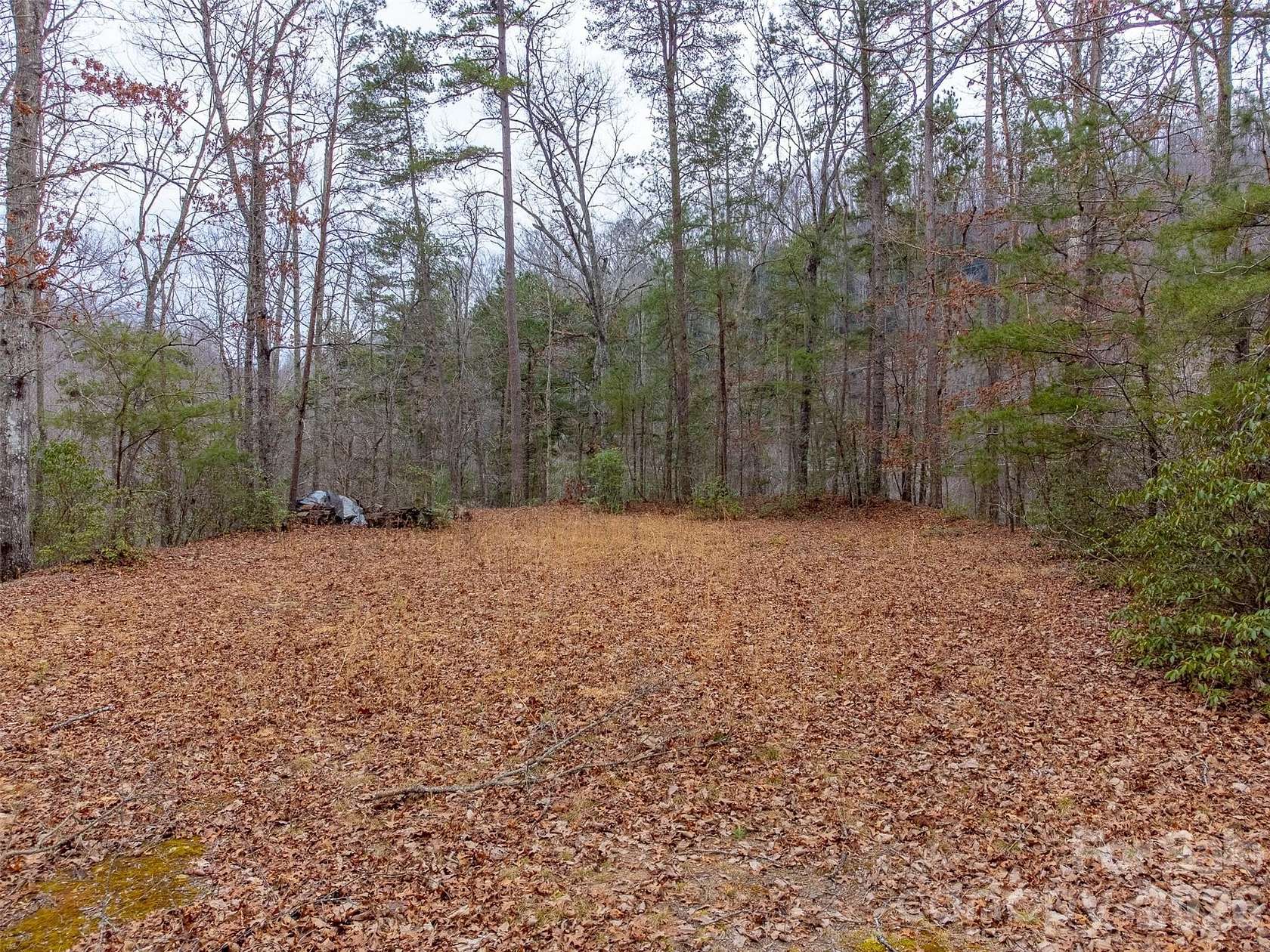 2 Acres of Residential Land for Sale in Whittier, North Carolina