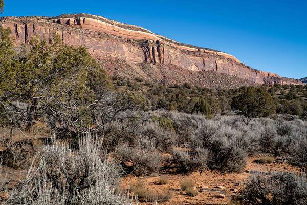 35 Acres of Recreational & Residential Land for Sale in Paradox, Colorado