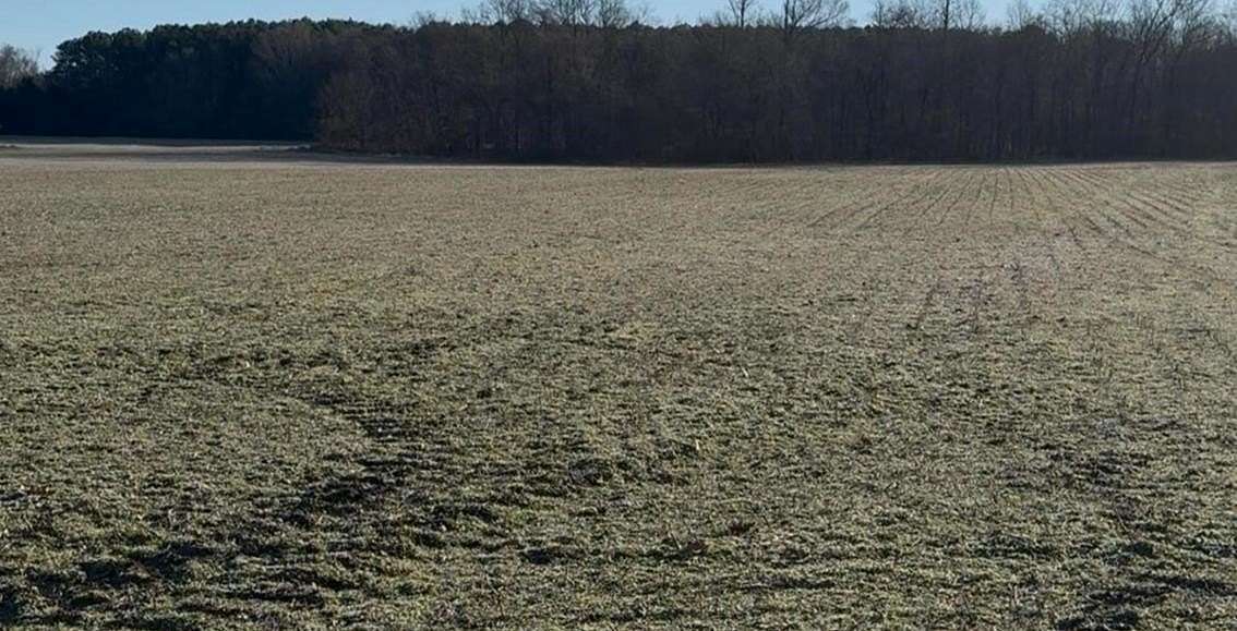 5 Acres of Residential Land for Sale in Oakland, Tennessee