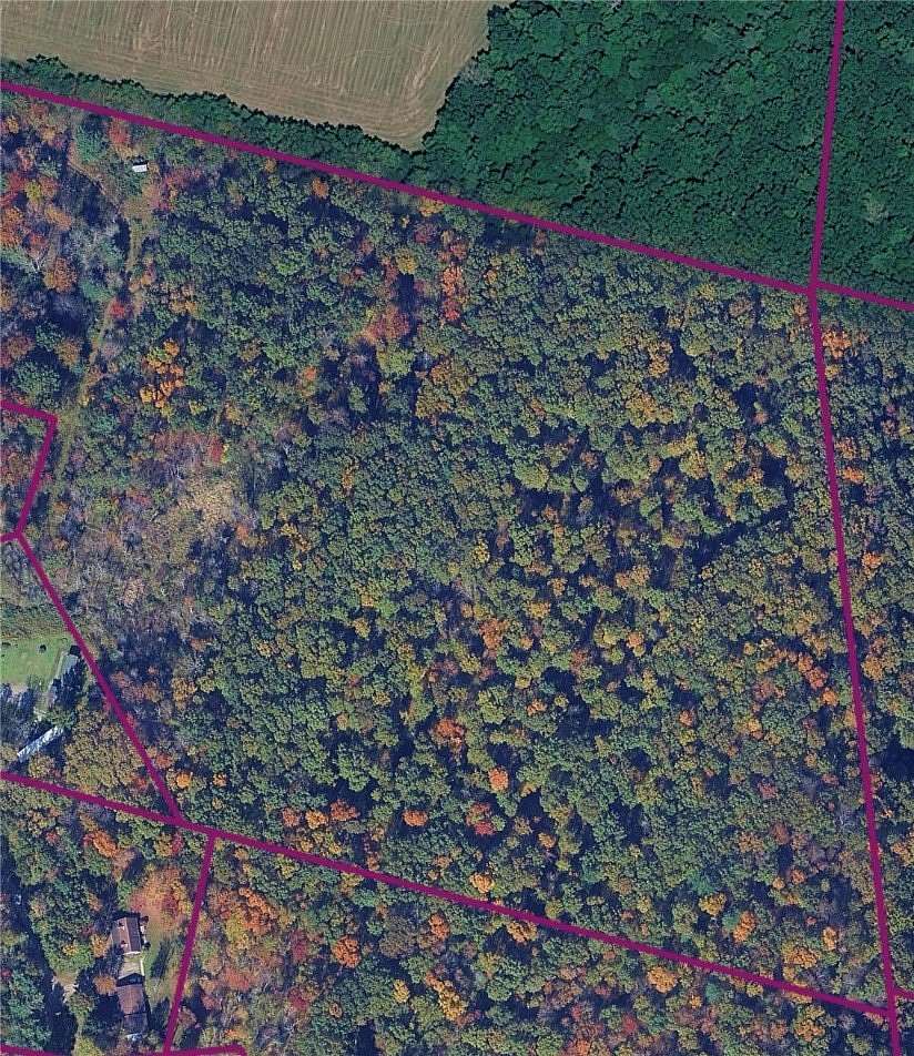 27 Acres of Recreational & Residential Land for Sale in Waverly, New York