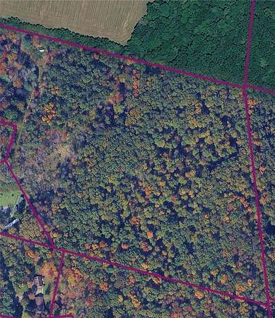27 Acres of Recreational & Residential Land for Sale in Waverly, New York