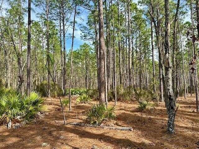 80 Acres of Recreational & Residential Land for Sale in Bell, Florida