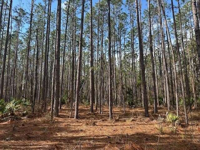 40 Acres of Recreational & Residential Land for Sale in Bell, Florida