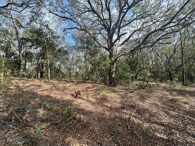 40 Acres of Recreational & Residential Land for Sale in Bell, Florida