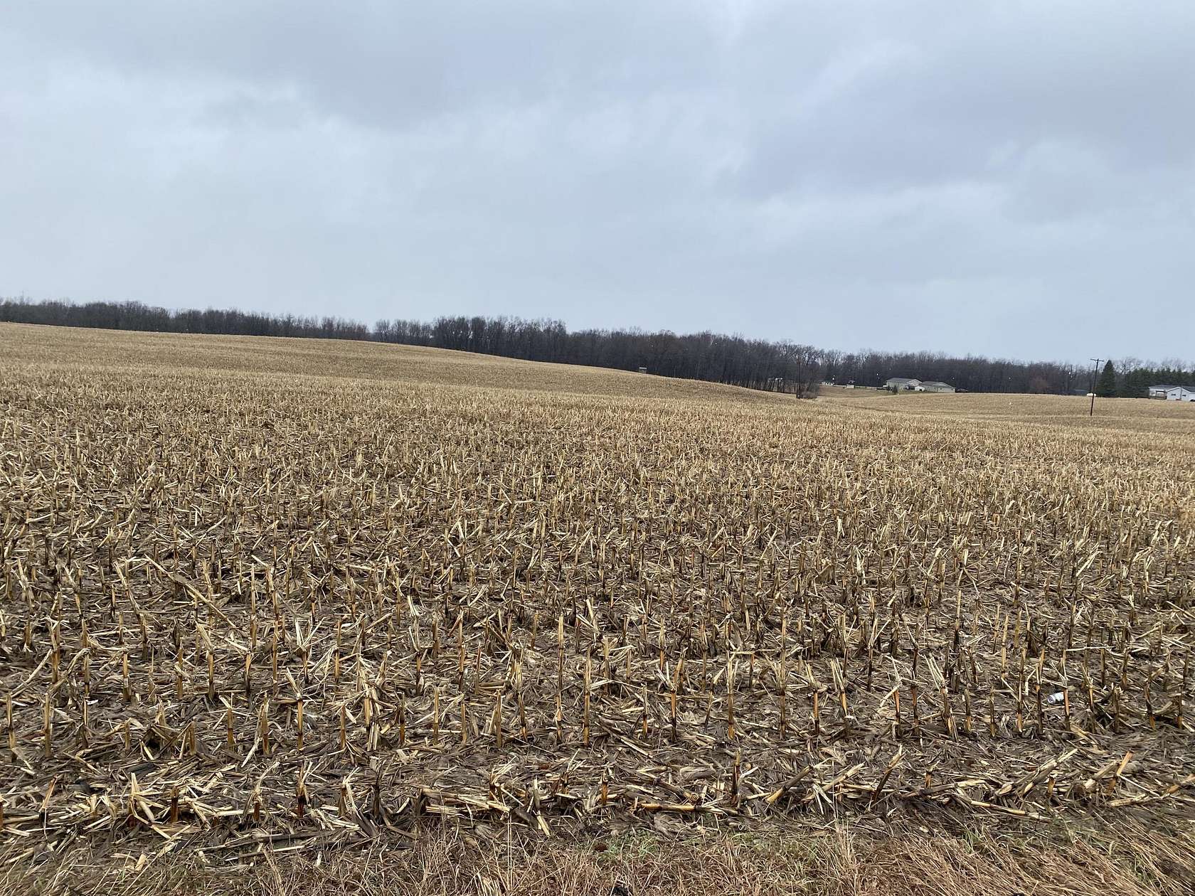 46.6 Acres of Agricultural & Residential Land for Sale in Lyons, Michigan