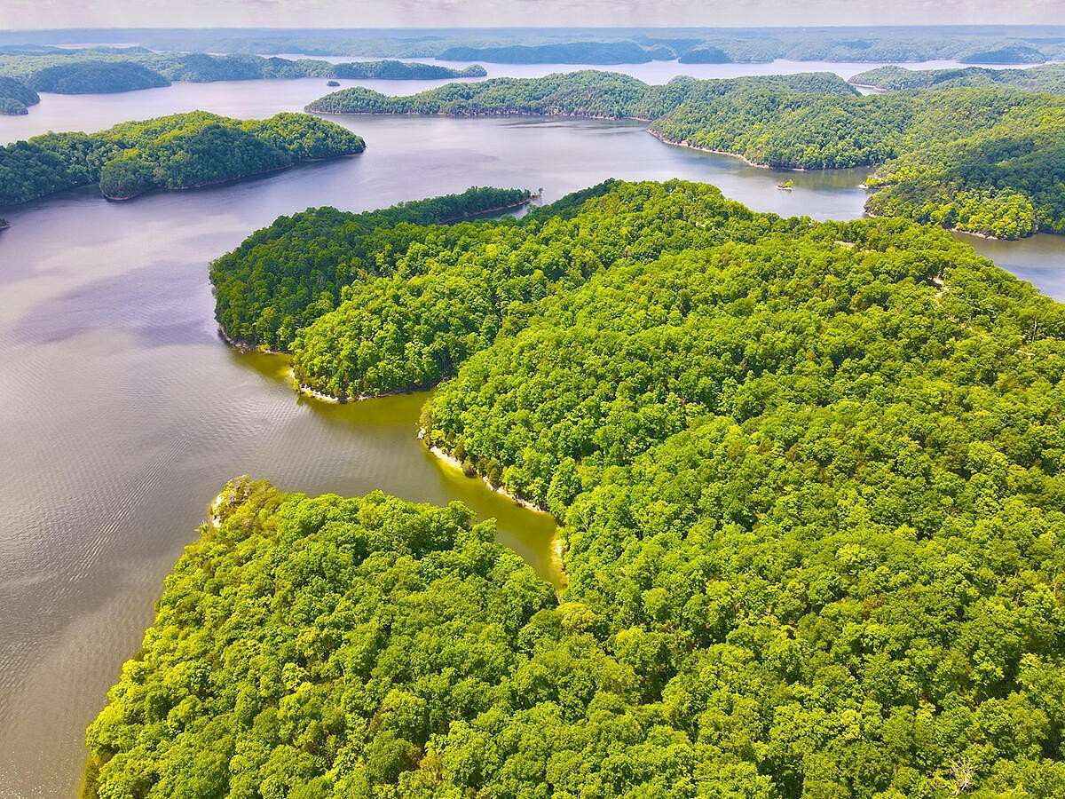 10.5 Acres of Land for Sale in Monticello, Kentucky